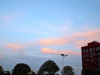 1000048631