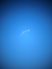 1000047925