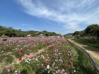0AE72524-6682-4FF3-990E-C204B0BABDB2/L0/001