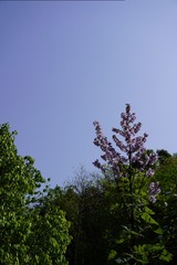 C740833A-BFCE-4AC4-8C81-0965B7B8E0B0/L0/001