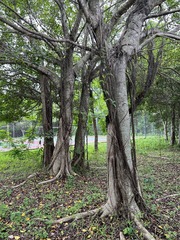 60F768D4-8DEC-45A9-A803-E0ED6F9B29F2/L0/001