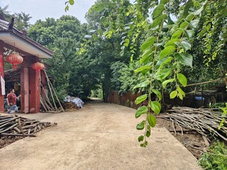 1000067351