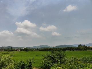 1000067435