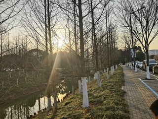 1000207308
