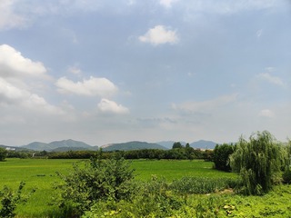 1000067436