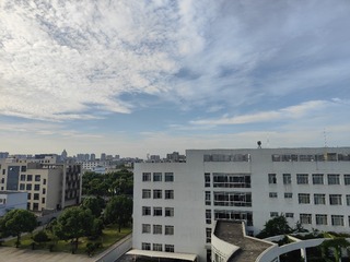 1000067551