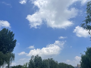 B7D76825-3D25-4BC8-B7C4-26A367BD56DB/L0/001