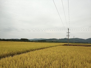 A2D7ABDD-E402-4001-9A54-A7F9835BF2FB/L0/001