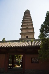 IMGP3865.jpg