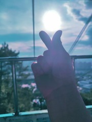 1000042440