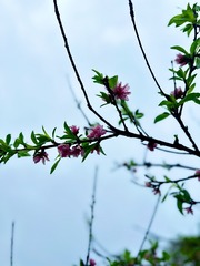 789C798C-BBDD-460E-9473-45D3B55E6F4D/L0/001