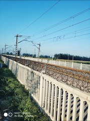 475059