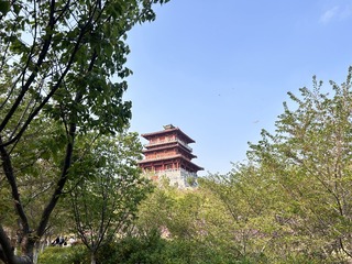 C65ED350-D5FF-40F9-A6E1-B140905F30EA/L0/001