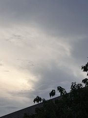 51CBE9C3-7025-4C6B-9BEF-1E85816715EC/L0/001