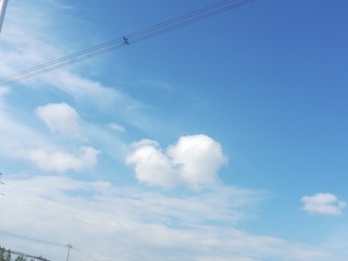 448