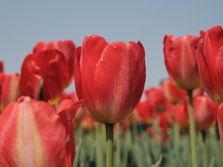 7E06B3EA-FF31-4E72-A9C6-5AD7806EB66E/L0/001
