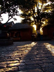 IMG_6820.jpg