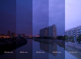 IMG_8205.jpg
