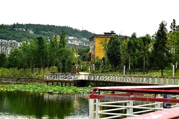 620059
