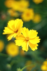 569FB865-B8B2-4D19-A93C-63C352B94167/L0/001