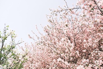 F2C71FA7-2E0B-409D-B9A5-1330DBD6745D/L0/001