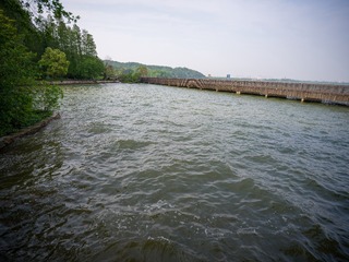 C77E718C-1530-443E-8B86-7B7B9B128BC2/L0/001
