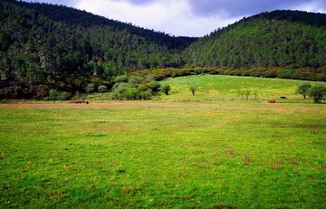 DSCN1316（2）.jpg