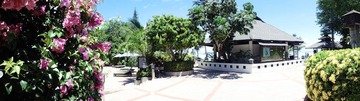 CIMG0452.jpg