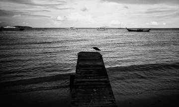 IMG_1985.jpg