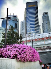IMG_0459.JPG