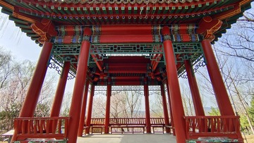 Japan 2006