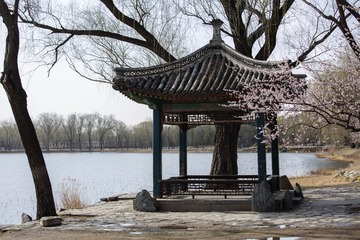 Japan 2006