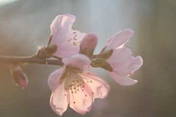F7FED2C4-6E89-4198-A73C-A644F9B5425A/L0/001