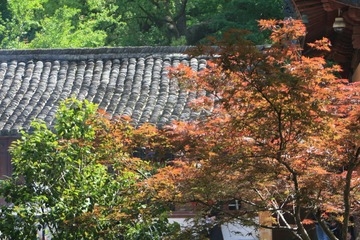 2C111AA5-99B3-4D22-AE21-8C8F876A6971/L0/001