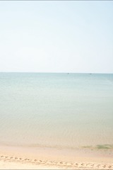 550BF78D-F0D4-43EA-8D5F-3CE3D90AF593/L0/001