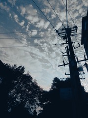 1000035807