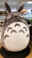 1629