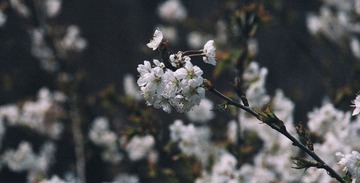CF59DF7F-6EBF-46FB-AFCE-69CF9AA39900/L0/001
