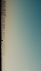 1301766
