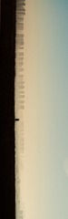 1301767