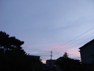 12081