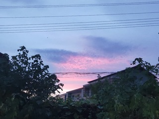 12080