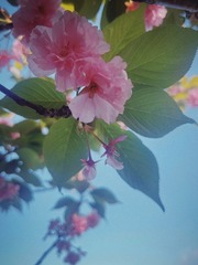 2DBE2440-9A18-4A89-AFB7-8F05BB2120BE/L0/001
