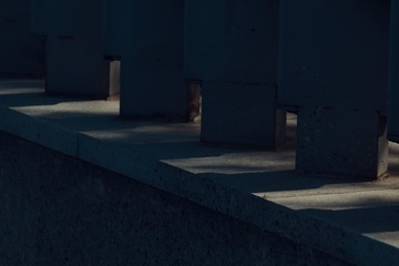 1000038115