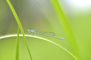 _DSC8181_00001