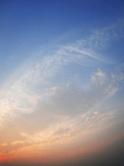 IMG_0772.jpg