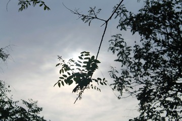 1000016565