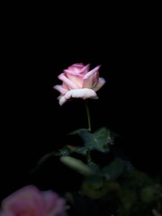 8A235625-646C-4569-AF9C-1D50578FB7B1/L0/001