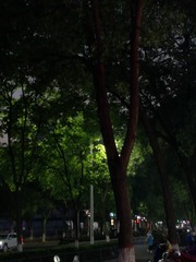 1820512