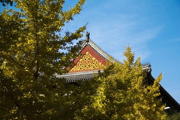 文史楼
